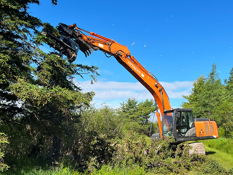 Tree Mulching