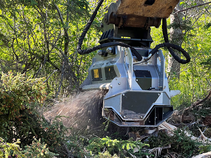 Tree Mulching